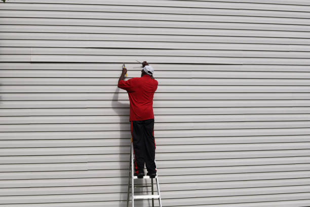 Best Steel Siding Installation  in Mayville, NY